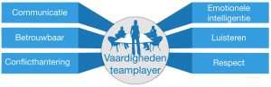 Teamplayer skills