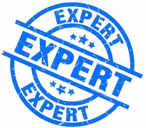 Expert