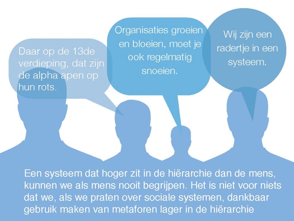 Metaforen van teams naar aanleiding van Boulding, over groeien, snoeien, bloeien, radertjes in systemen